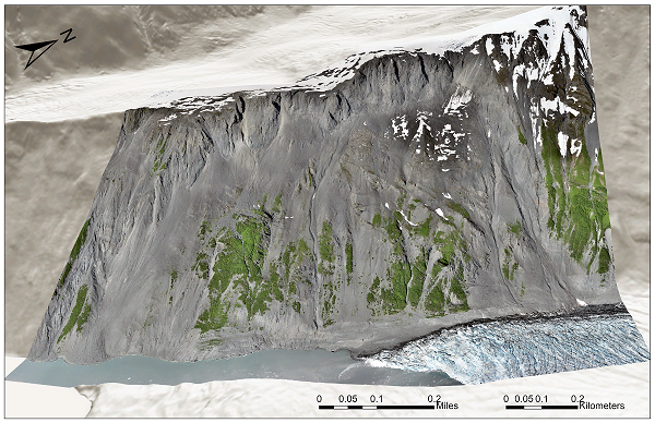 Shaded digital terrain model of the Barry Arm Landslide