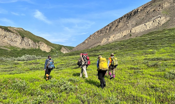 Geologists traverse tundra to the outcrops of the Nanushuk Formation