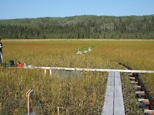 Alaska Hydrology Program