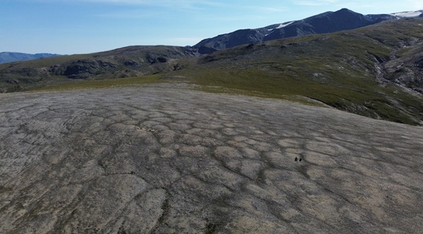 Polygonal ice wedge polygons in the Eastern Alaska Range near Delta Junctio