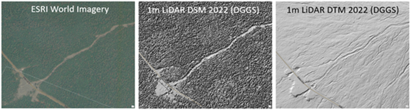 An example of surface details obscured by vegetation and revealed by lidar