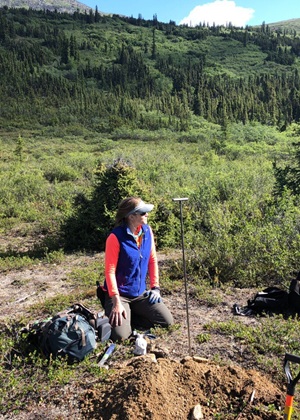 Northeast Tanacross field work, STATEMAP project