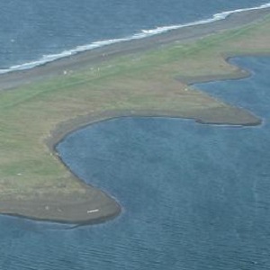 Alaska Coastal Profile Tool thumbnail image