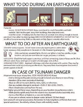 What to do during an earthquake flyer